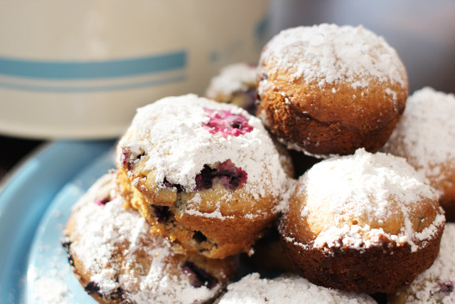 blueberry-muffins